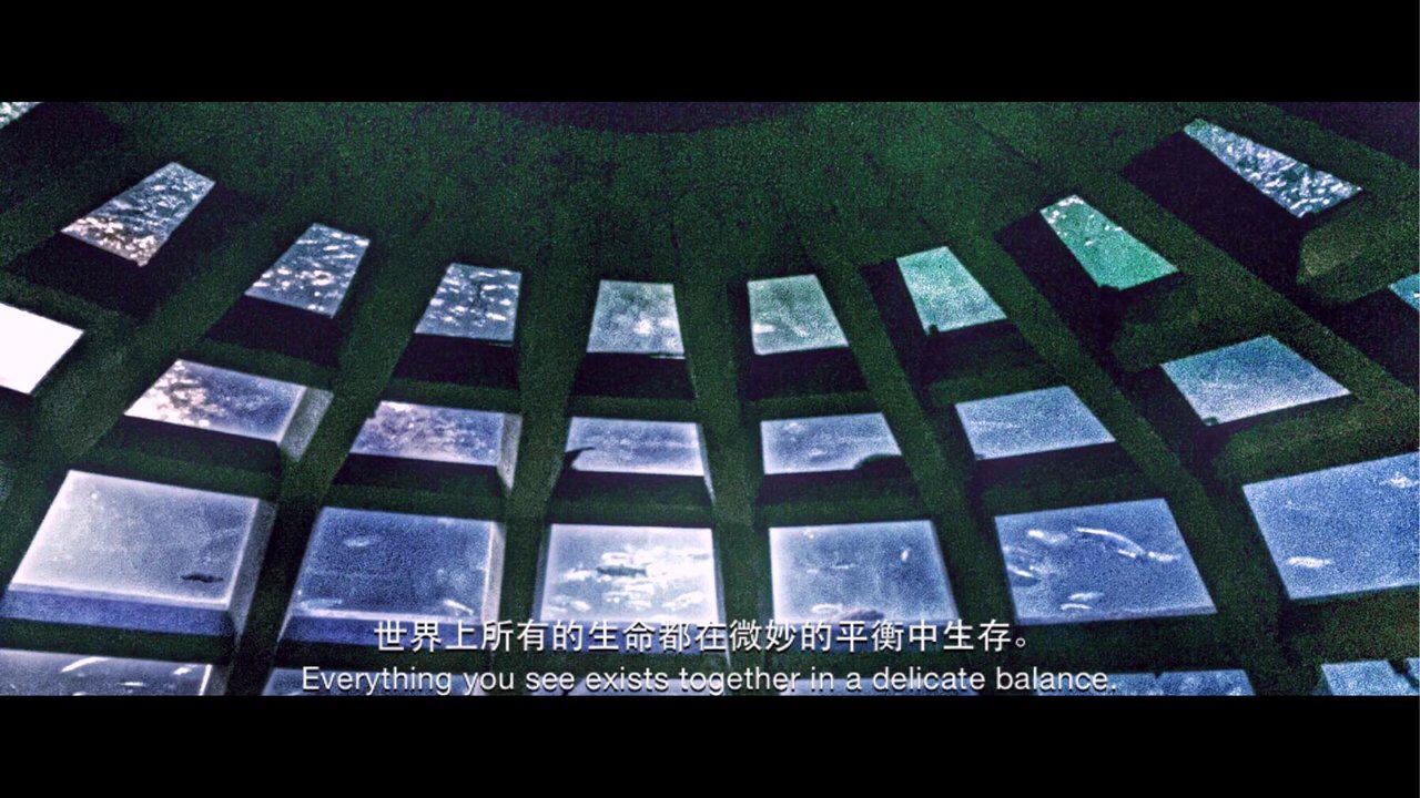 水母死后会变成水不留痕迹,水母死后真的会变成一滩水吗