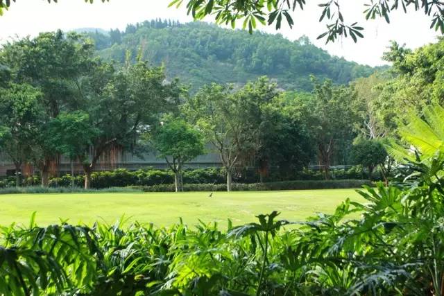 迪士尼好莱坞酒店什么可以带走,迪士尼好莱坞酒店标准房