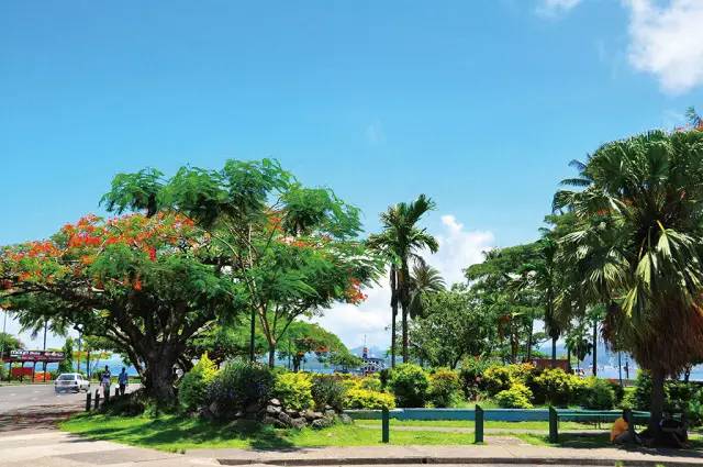 甯曞姵缇庢櫙娓歌,瑗垮お骞虫磱甯曞姵浜洪棿浠欏