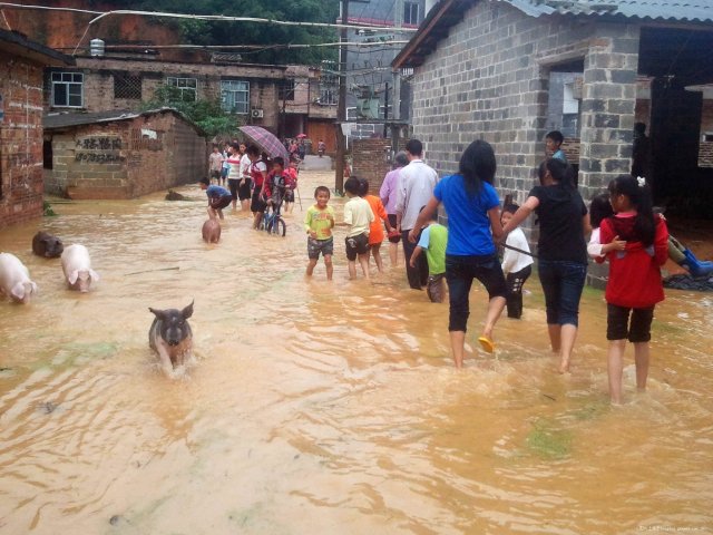 遇到暴雨来临，我们该怎么办？