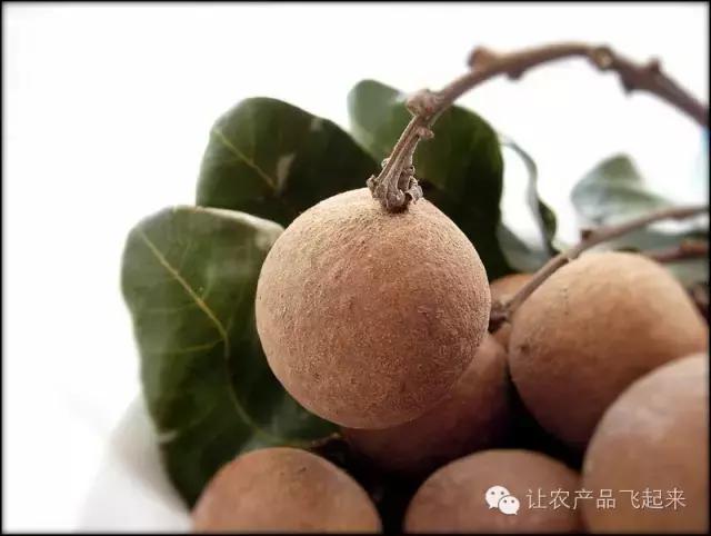 泰国如何分辨榴莲熟还是不熟,泰国产品从哪里查询真伪