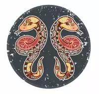 爱莎塔罗周运3月,爱莎塔罗周运