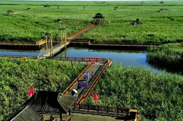 盘锦的夏天，应该是这些颜色的！