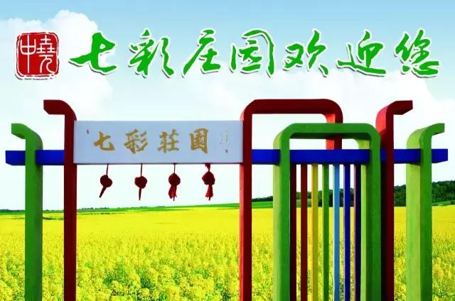 盘锦的夏天，应该是这些颜色的！