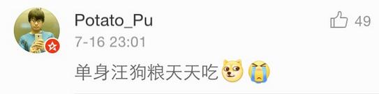 几乎无差评的猫粮狗粮,试吃狗粮猫粮