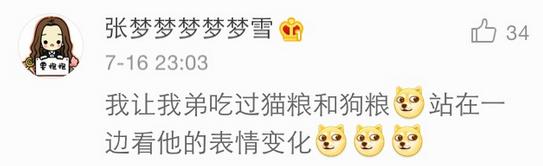 几乎无差评的猫粮狗粮,试吃狗粮猫粮