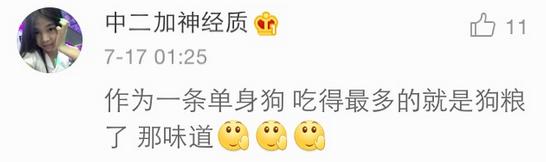 几乎无差评的猫粮狗粮,试吃狗粮猫粮