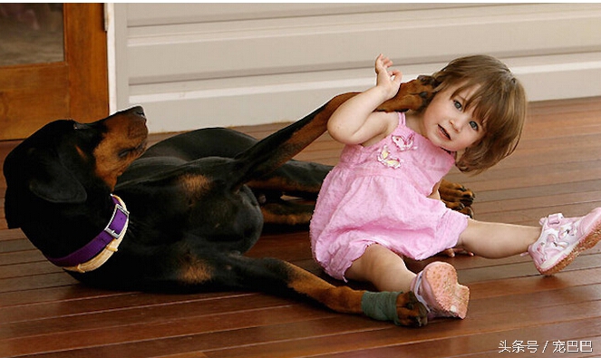 狗狗突然拽着主人往回跑,宠物狗扑倒小孩吓哭