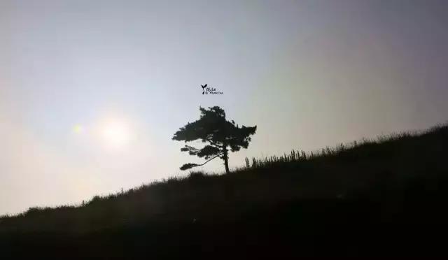 当百里荒遇上山楂树，预“谋”最纯爱的告白