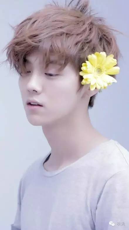 我们爱男生版,我们爱粤语歌曲