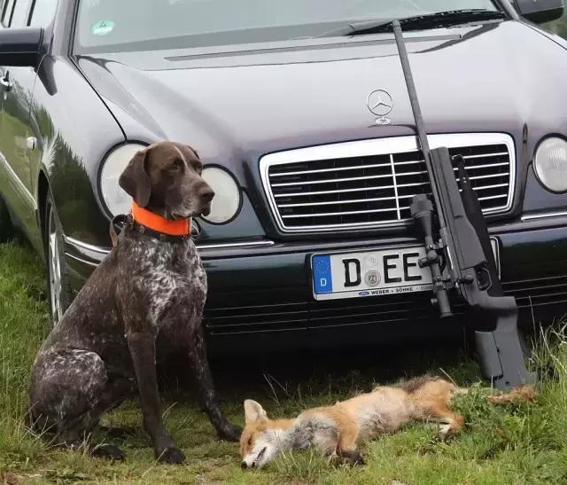 芬兰之星萨科tgr42狙击步枪,芬兰狙击枪trg42性价比