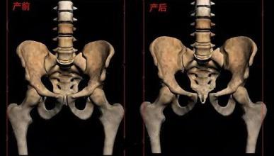 字里藏医合集,字里藏医简介