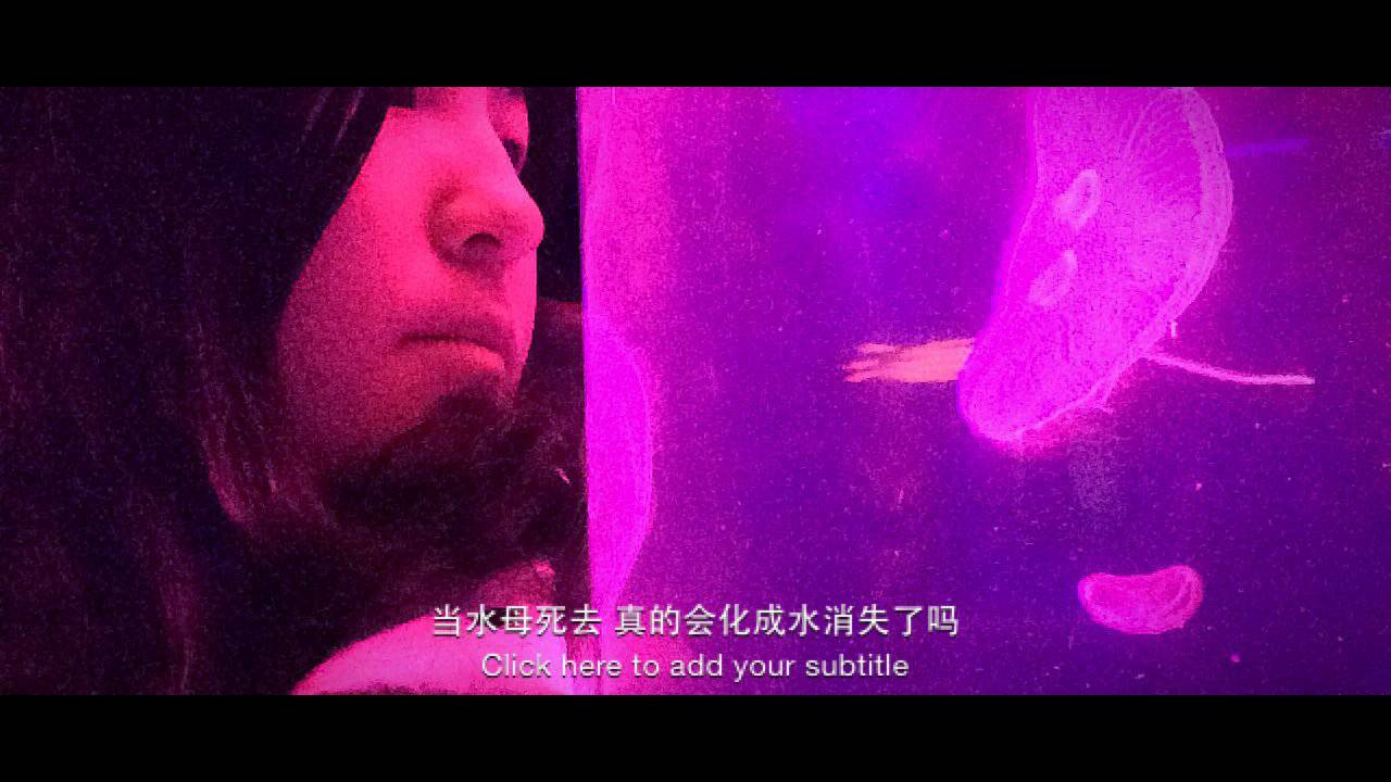 水母死后会变成水不留痕迹,水母死后真的会变成一滩水吗