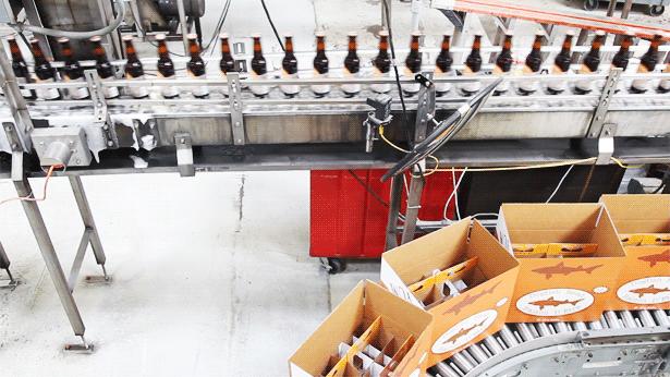 颤抖吧！一起来设计一双“拉仇恨”配色的三叶草吧！