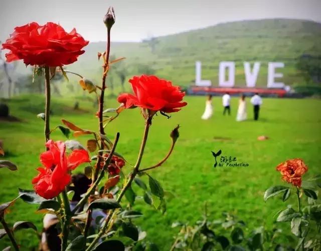 当百里荒遇上山楂树，预“谋”最纯爱的告白