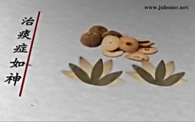 慢性咽炎患者都开始用化橘红调理了？