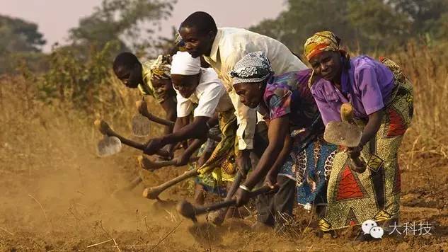 非洲农业的天然劣势