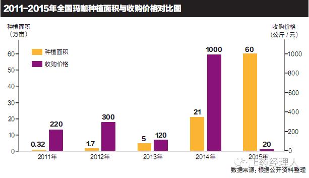 败局玛咖：那根“萝卜”一泻千里