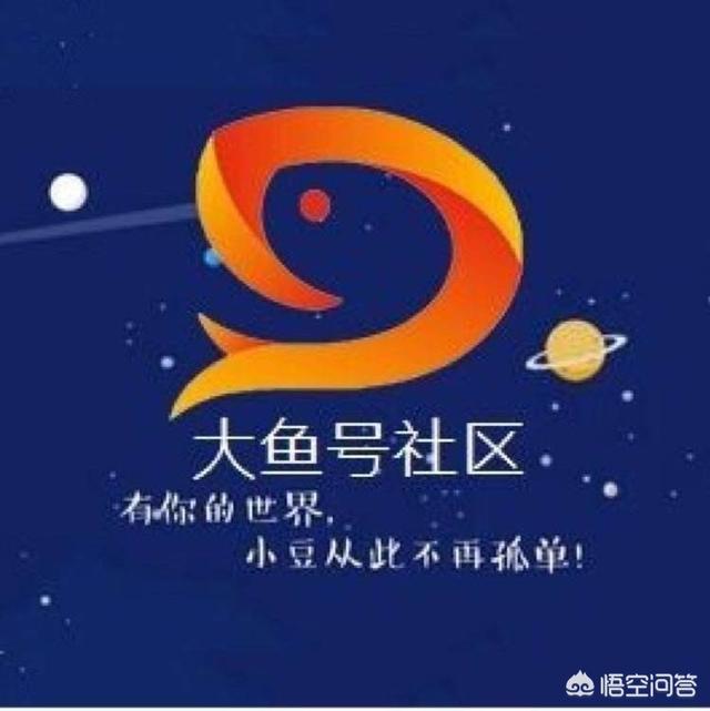 「娱乐」大鱼号怎么样？凑合