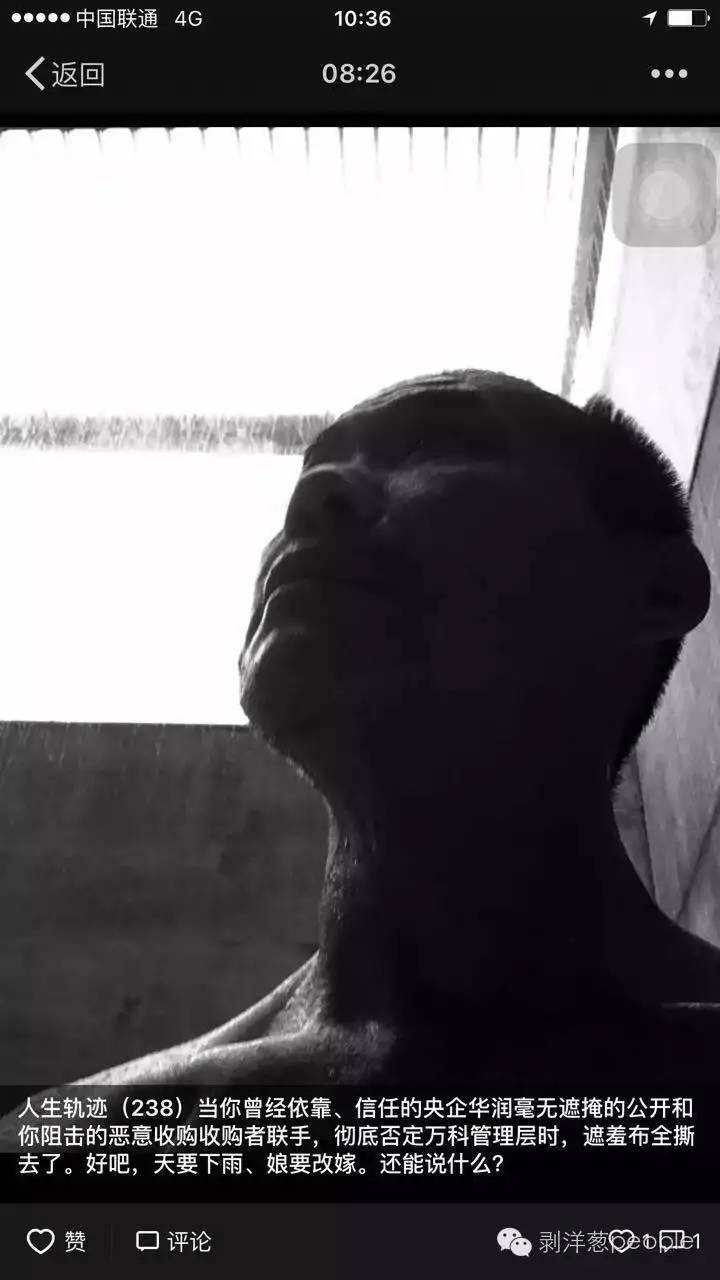 王石结局完整版,王石最大赢家