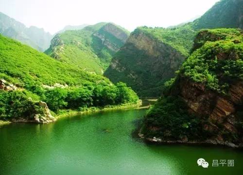 永定区冬桃新鲜采摘等你来,果园现摘冬桃脆甜