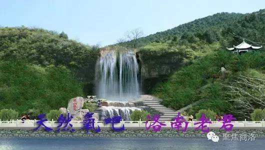 商洛碎事商洛男子卖加盐｜商洛一老汉因土地纠纷将除草剂喷他人菜地