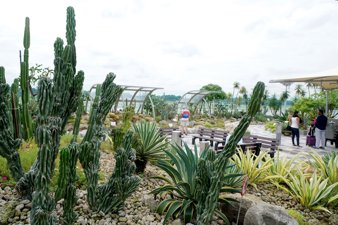 机场转机4小时时间能干啥,机场里无聊怎么办