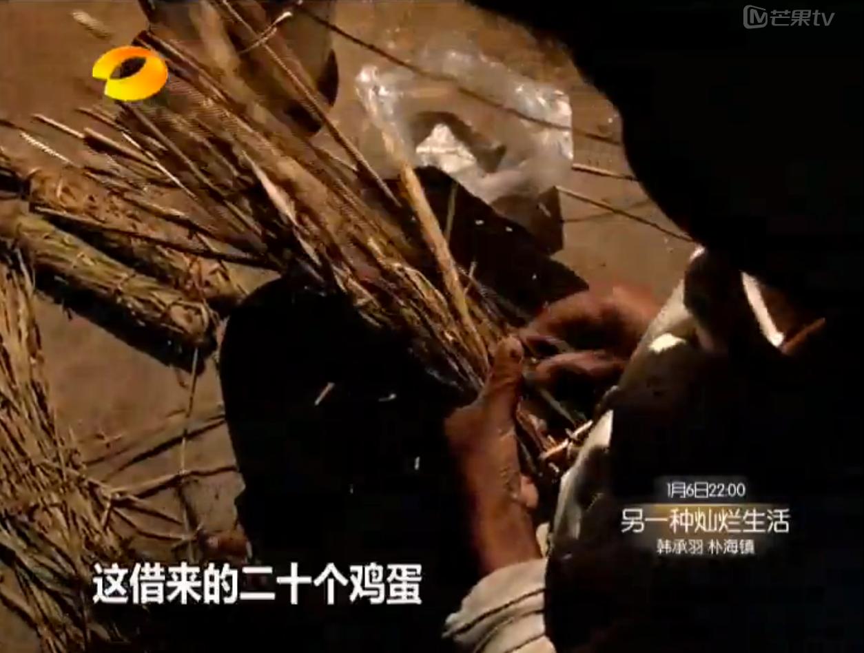 变形计易虎臣和吴宗宏全集,易虎臣和吴宗宏现在的样子