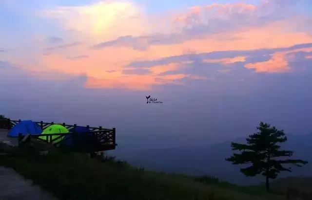 当百里荒遇上山楂树，预“谋”最纯爱的告白