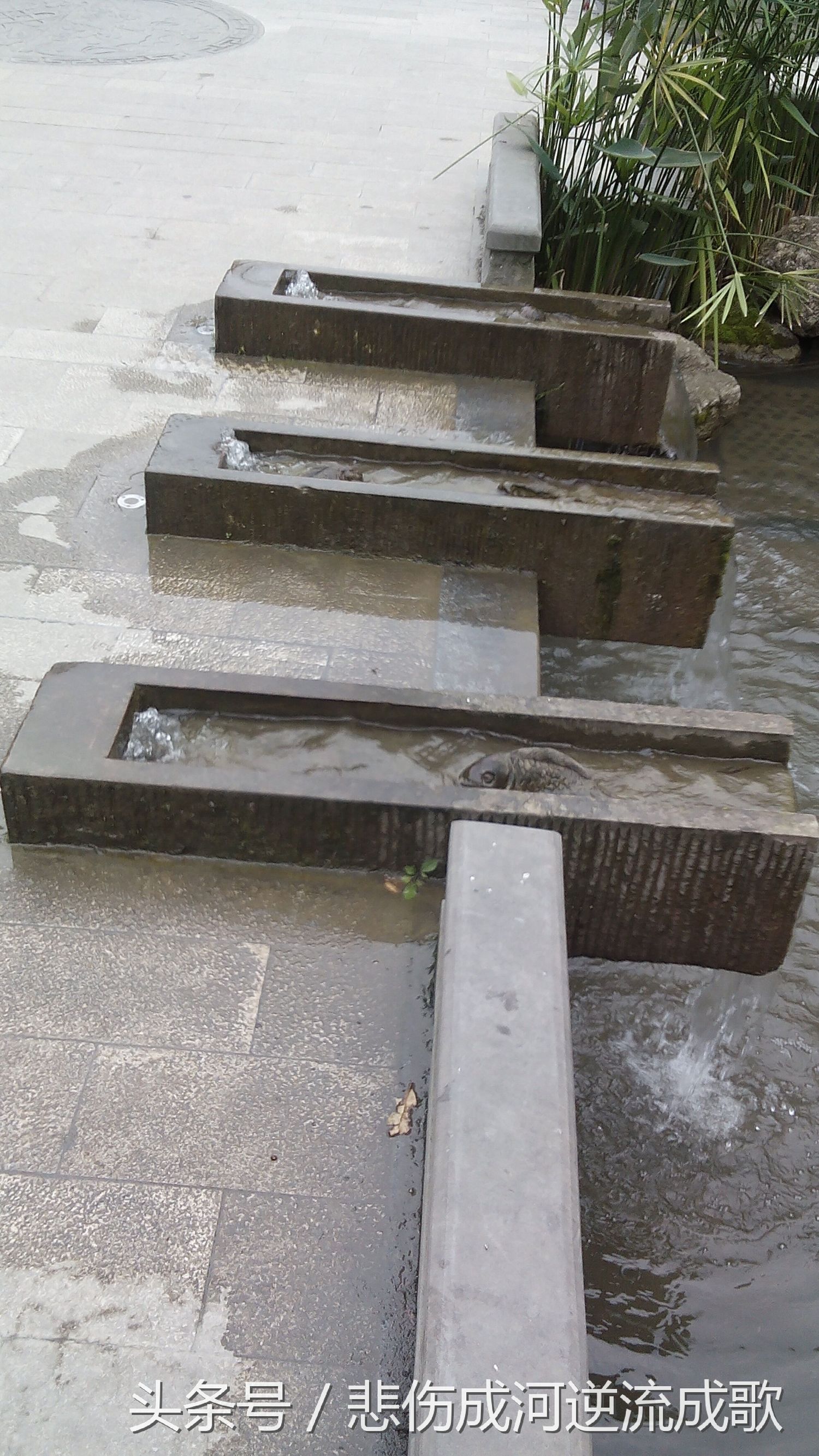 醉美水乡三道堰,水乡三道堰