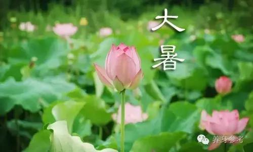 大暑祛湿的穴位图解,湿热如何降暑