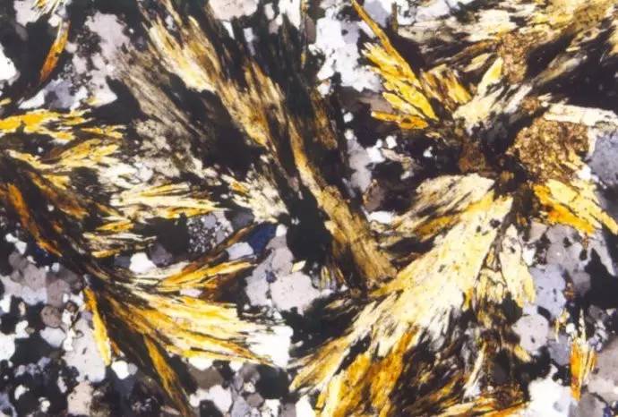 常见的岩石矿物标本图集名称,常见岩浆岩识别记录表