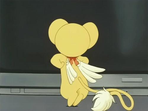 云南孔方兄跑路,云南孔方兄非法集资案进展