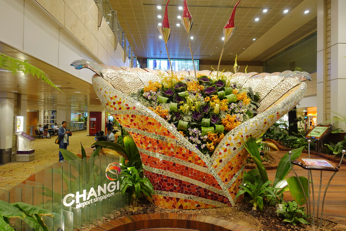 机场转机4小时时间能干啥,机场里无聊怎么办