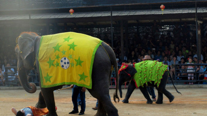 涓滆姯涔愬洯鍜屾嘲鍥介鎯呭洯,娉板浗椋庢儏鍥拰涓滆姯涔愬洯