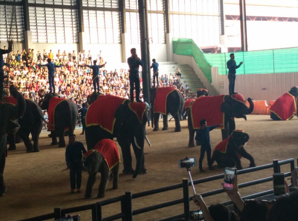 涓滆姯涔愬洯鍜屾嘲鍥介鎯呭洯,娉板浗椋庢儏鍥拰涓滆姯涔愬洯