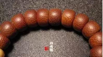 龙血金丝竹百科简介,龙血金丝竹简介