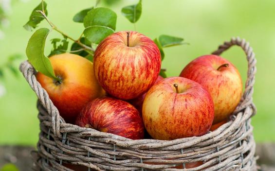 孕期关注事项大全孕妈妈值得收藏,孕妇孕晚期吃什么降火