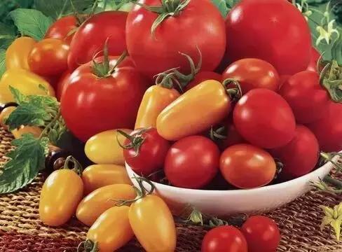 气血足面色白皙红润,气血不够吃什么食物能补足