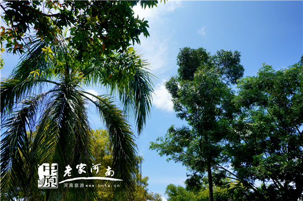 沙巴蜜月七日游推荐,完美假期泰国游青春版