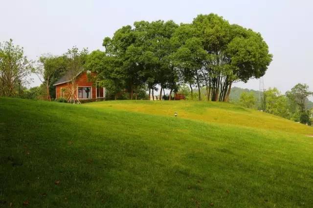 峨眉山自驾游营地,峨眉山旅游营地