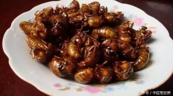 夏天有什么好的中成药,夏天有什么好用的药