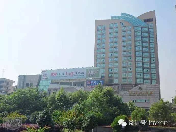 李连义访谈,李连义的电影