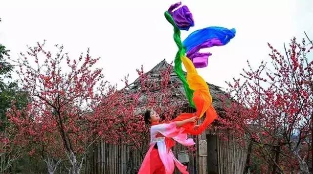 夏季旅游胜地珠三角,广东中山旅游攻略夏日