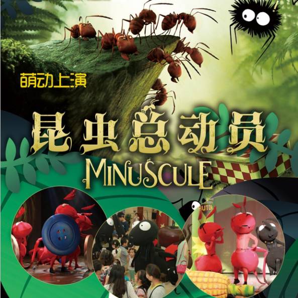 音乐节8月上海,上海8月演出安排表