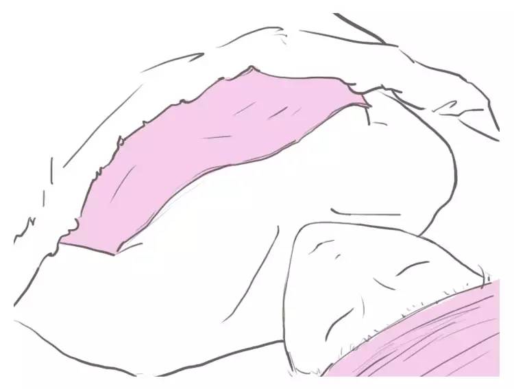 小猫断奶母猫奶胀怎么办,断奶要多久奶才不胀