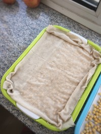 纸上种蔬菜,纸上种菜技术