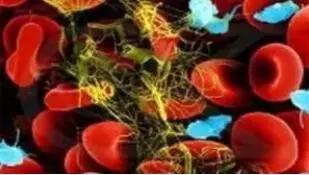 围绝经期异常子宫出血的治疗首选,女性异常子宫出血的护理问题