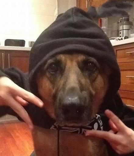 手机掉厕所了怎么办呀,手机掉厕所了怎么清除臭味