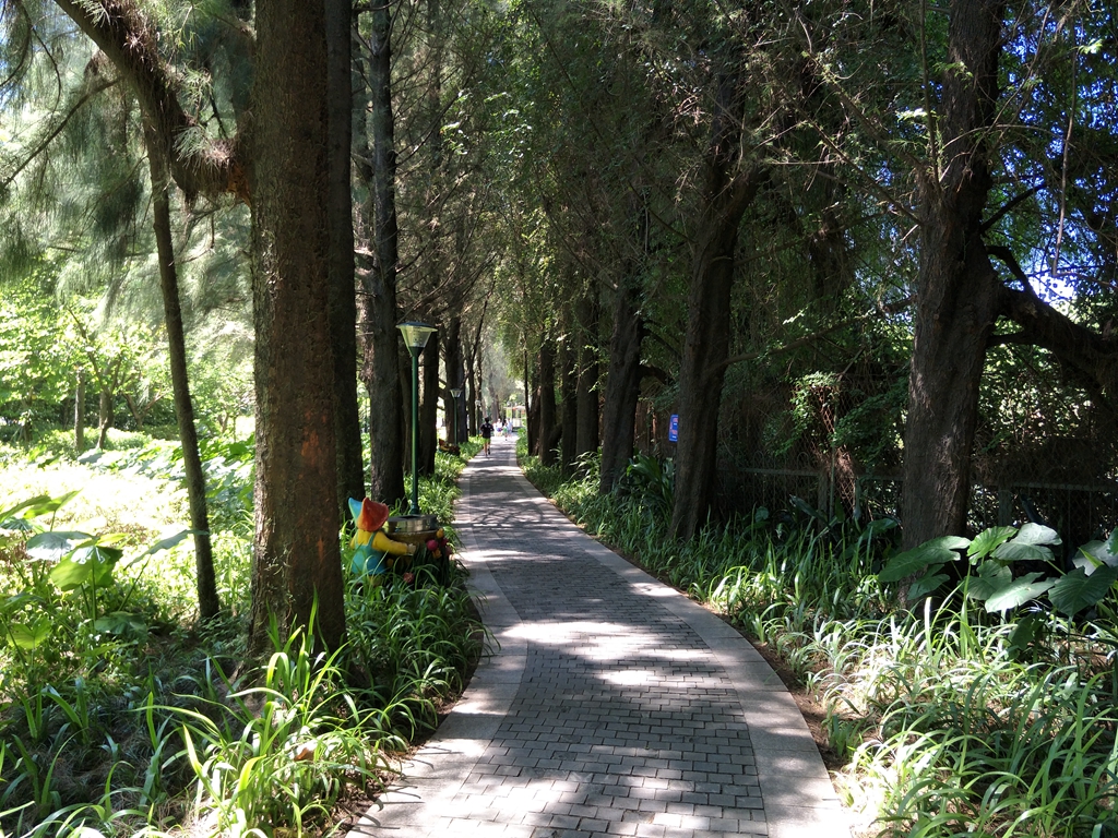 华为g9青春版值多少钱,外观精致的华为手机